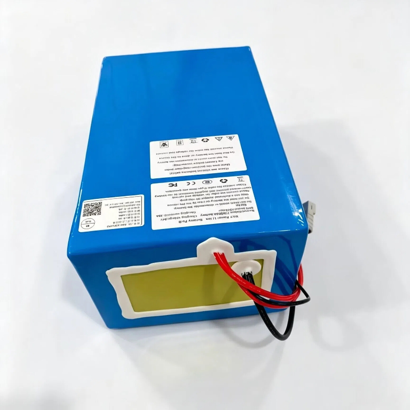Paquete de baterías de litio L - 72V 40Ah Lifepo4 Battery Pack reseña y precio