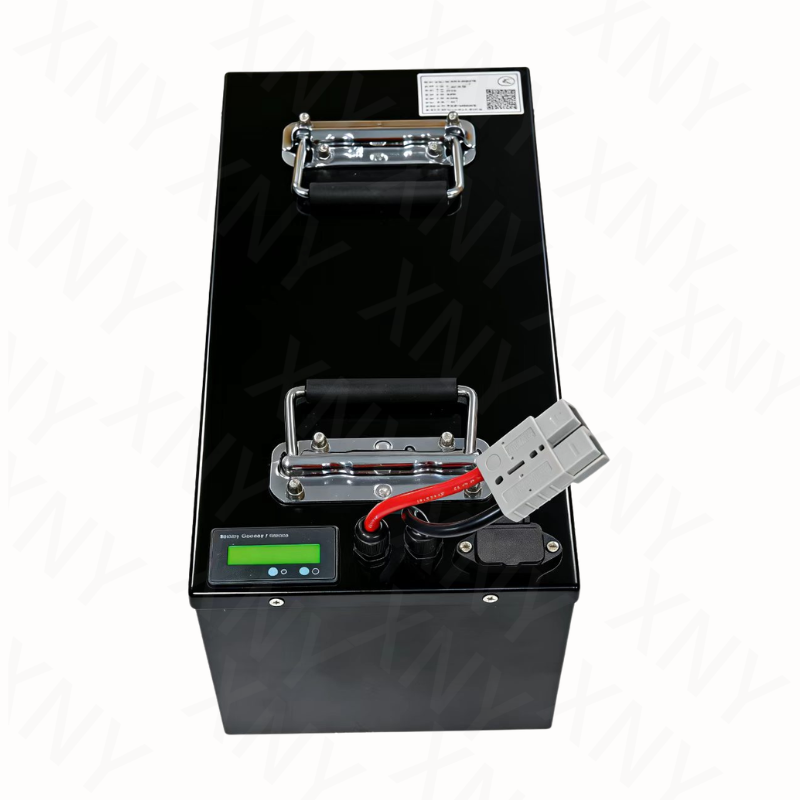 Batería de Litio XNY-72V LifeP - 72V 40Ah Lifepo4 Battery Pack reseña y precio