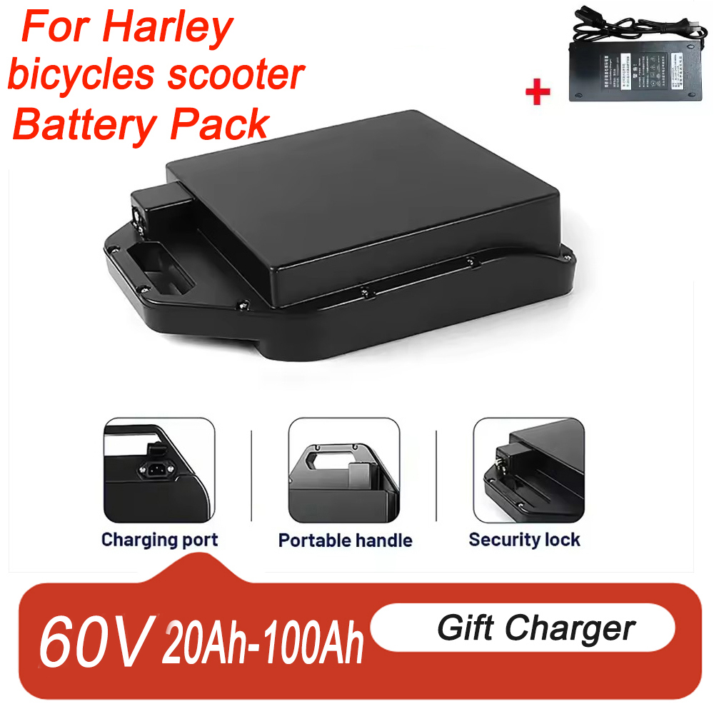 Batería de litio para vehículo - 60V 50Ah Electric Scooter Battery reseña y precio